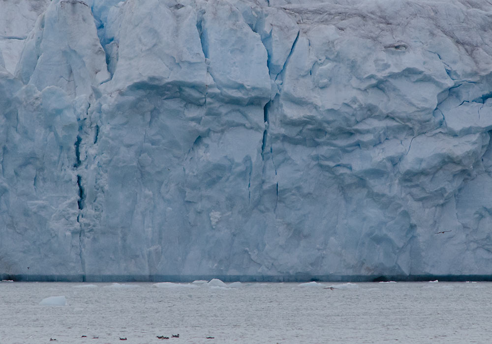 isbre på Svalbard